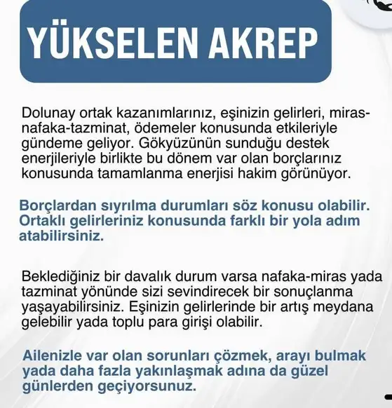 19 10 (9).webp