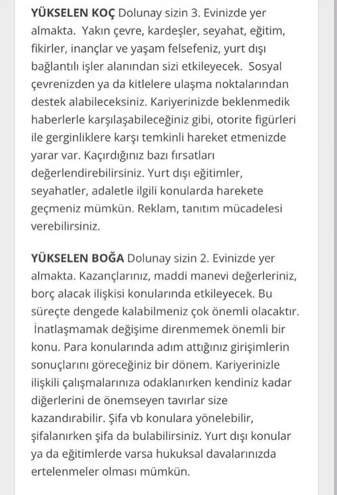 19 11 (2).webp