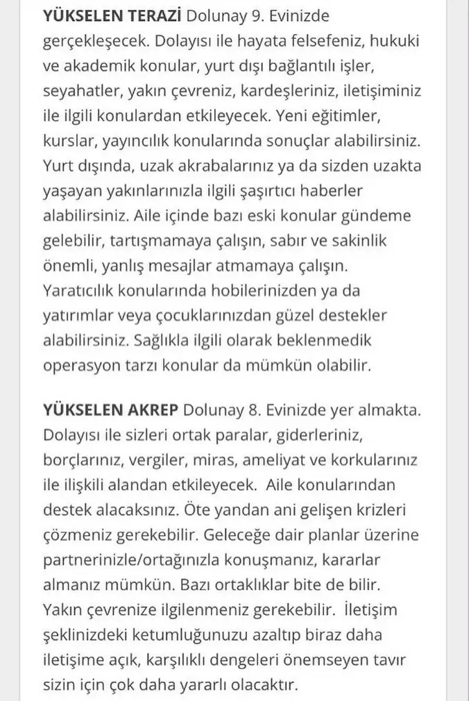 19 11 (6).webp