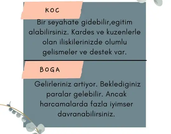 19 2 (2).webp