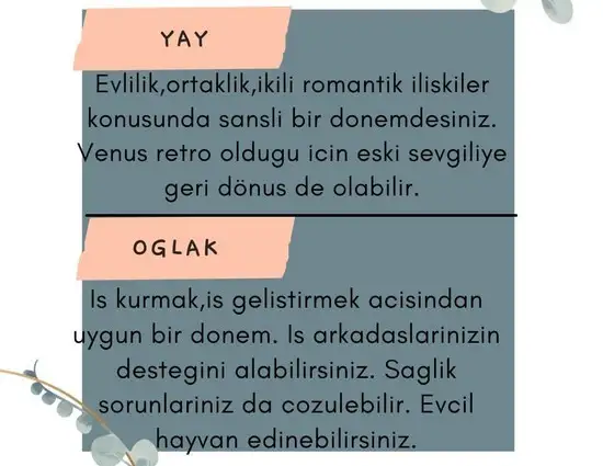 19 2 (6).webp