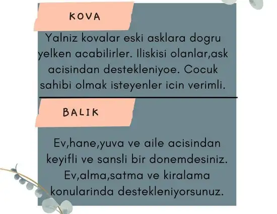 19 2 (7).webp