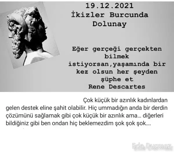 19 3.webp