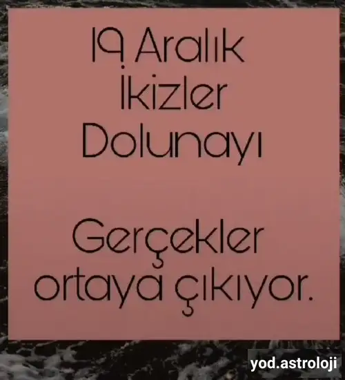 19 7.webp