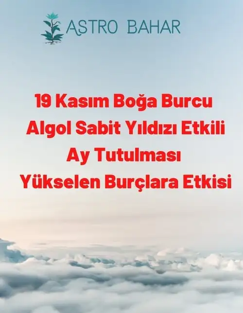 19 kasım 1 (1).webp
