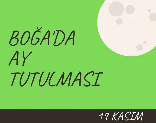 19 kasım 1 (1).webp