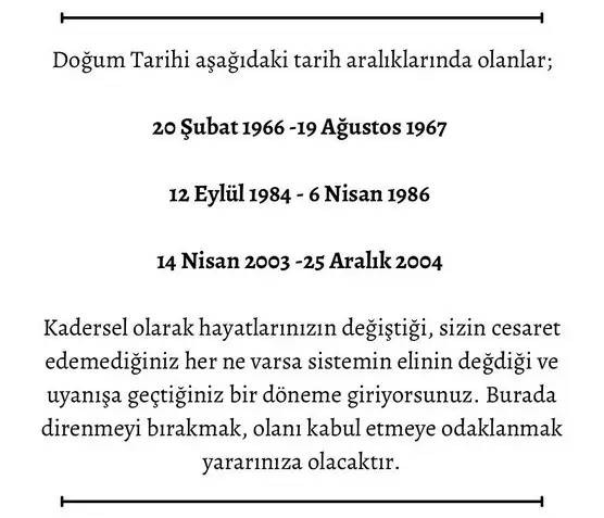 19 kasım 1 (3).webp