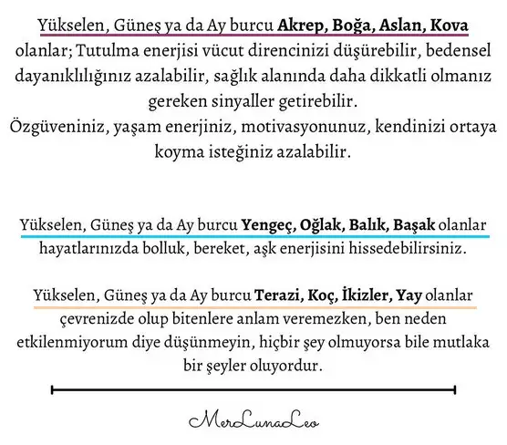 19 kasım 1 (4).webp