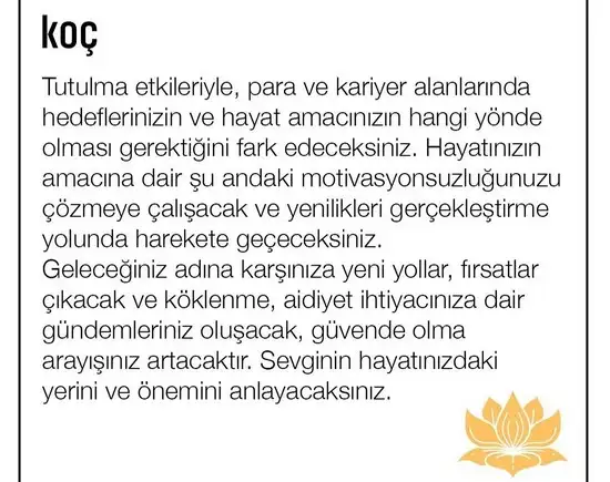 19 kasım 2 (2).webp