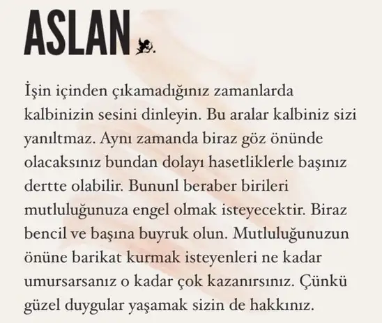 19 kasım 2 (5).webp