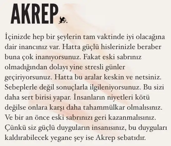 19 kasım 2 (8).webp