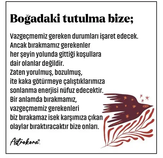 19 kasım 2.webp