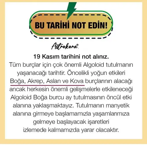 19 kasım 22.webp