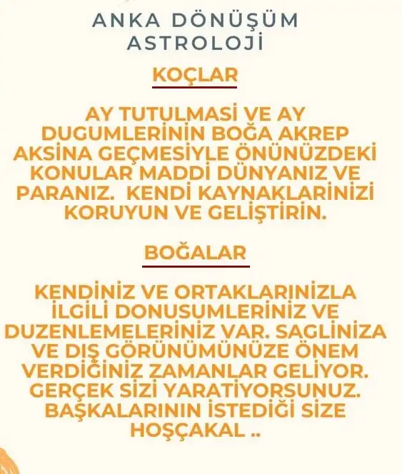 19 kasım 3 (1).webp