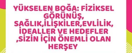 19 kasım 3 (2).webp