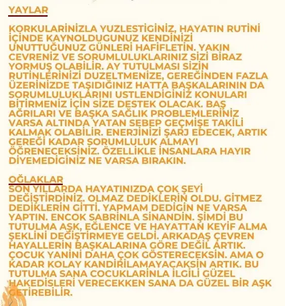 19 kasım 3 (5).webp