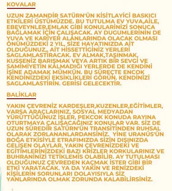 19 kasım 3 (6).webp