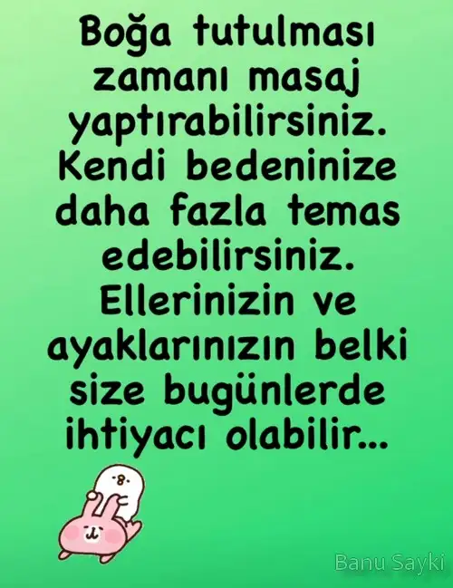 19 kasım3.webp