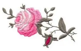 19.webp
