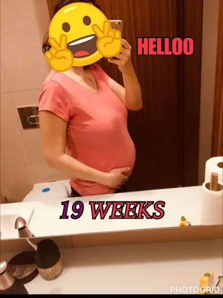 19 weeks.webp
