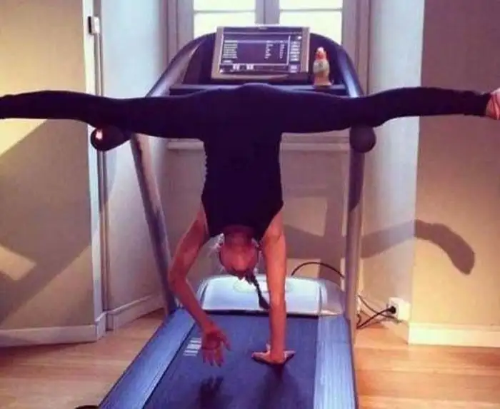 1964936-728x728.webp