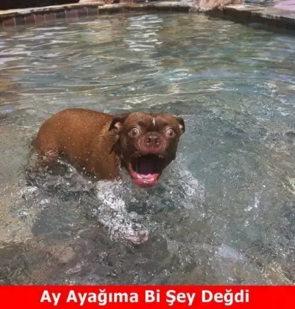 1_67.webp