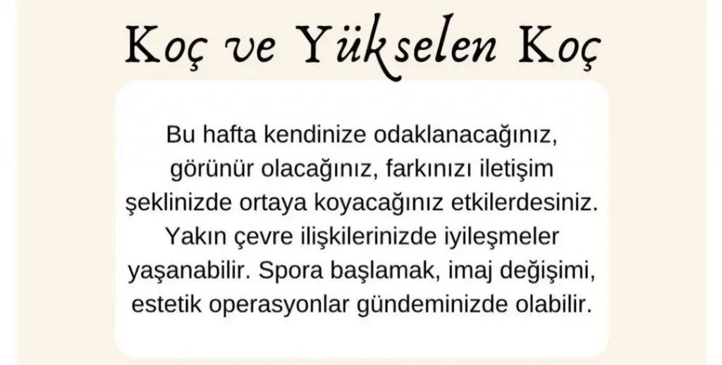 1a (1).webp