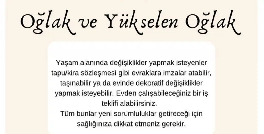 1a (10).webp