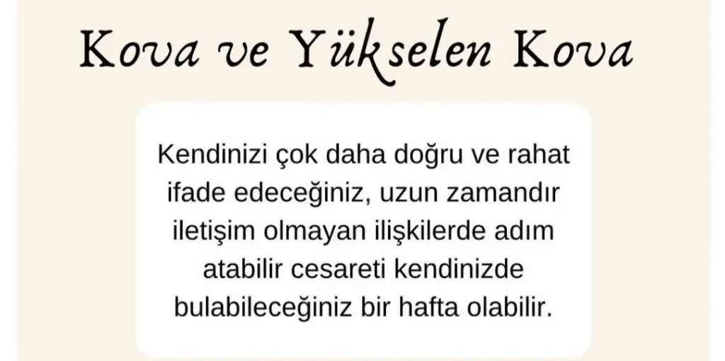 1a (11).webp