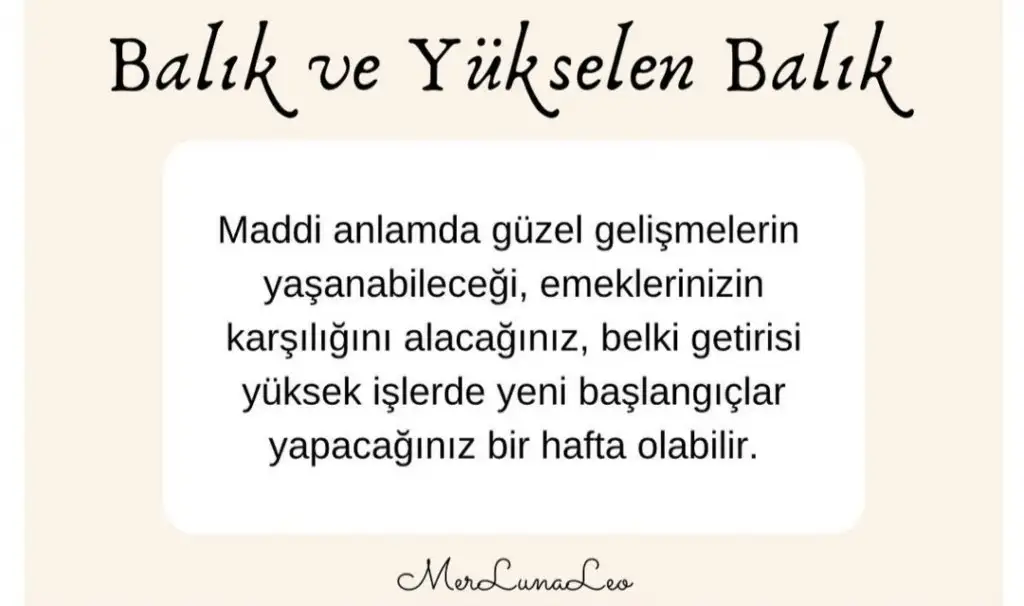 1a (12).webp
