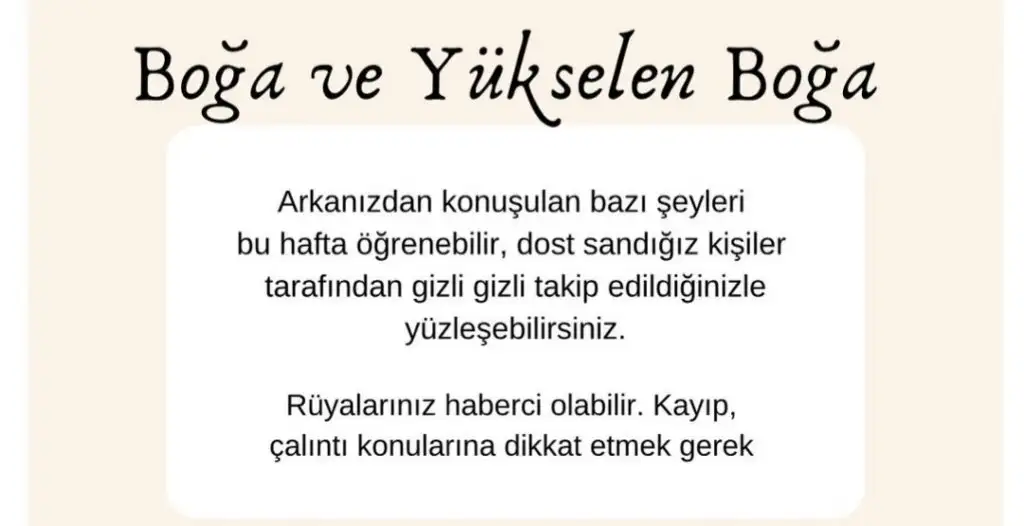 1a (2).webp