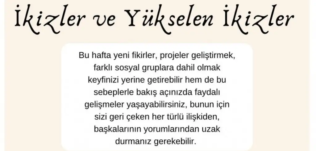 1a (3).webp
