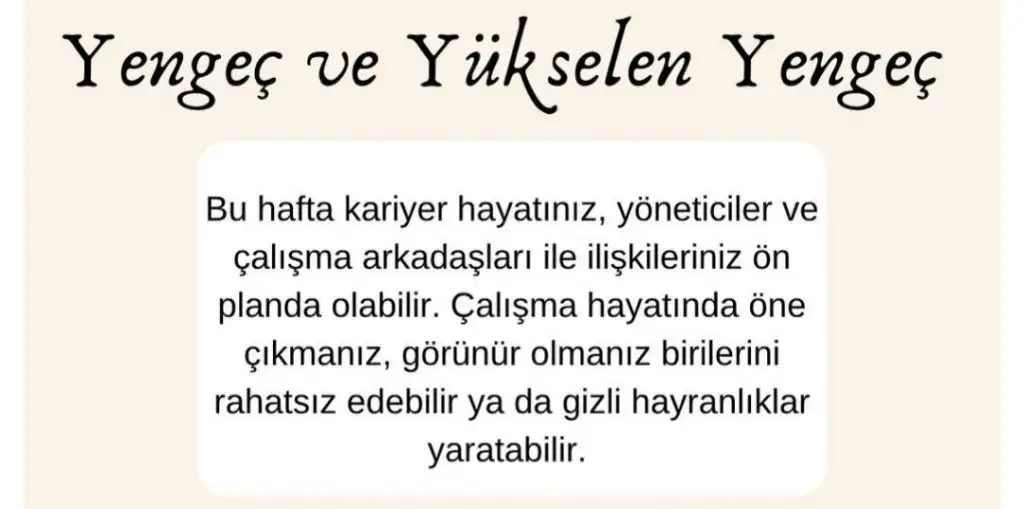 1a (4).webp