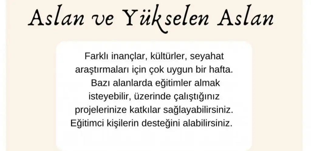 1a (5).webp