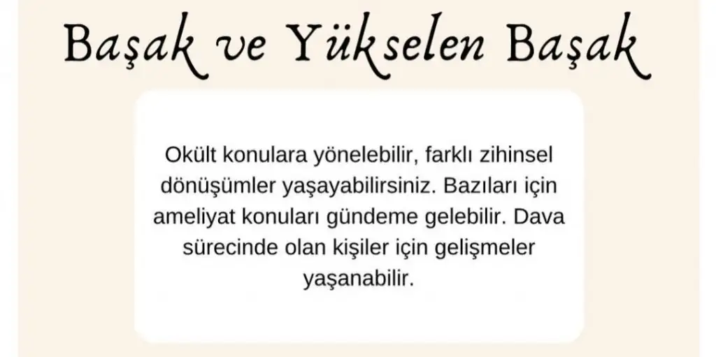 1a (6).webp