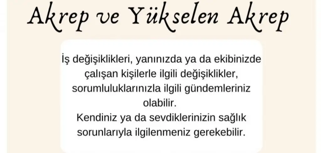 1a (8).webp