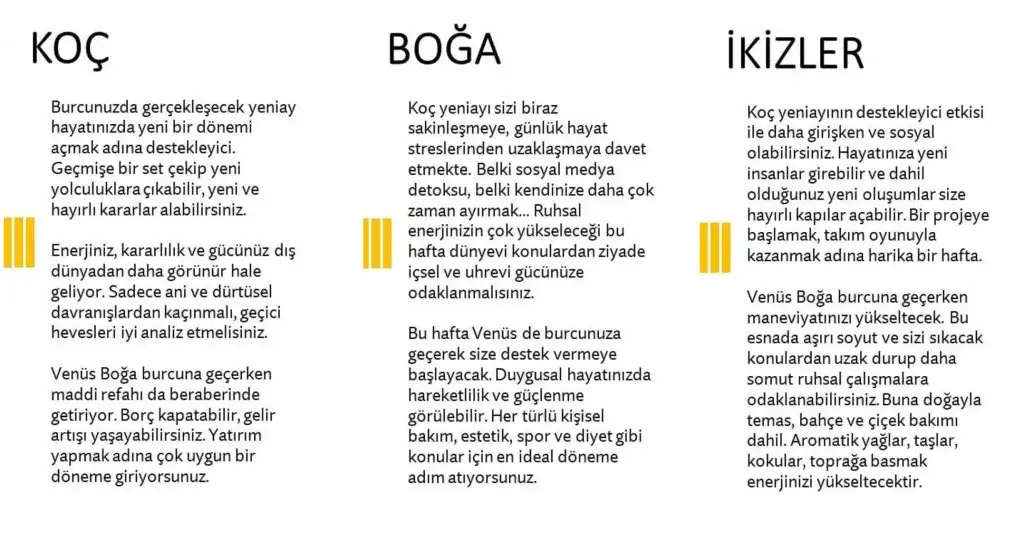 1a.webp
