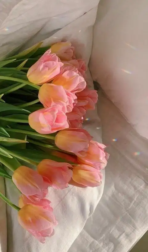 1a7dd00db87922ac748cf795ccc9d3bc.webp