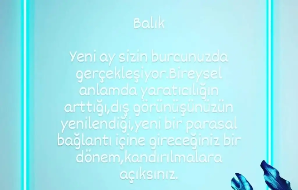 1aa (12).webp
