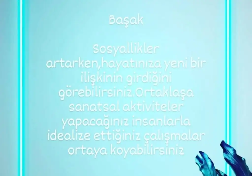 1aa (6).webp