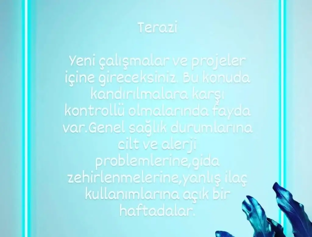 1aa (7).webp