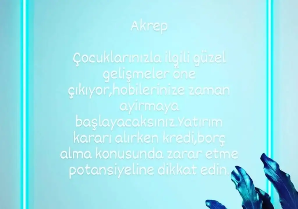 1aa (8).webp