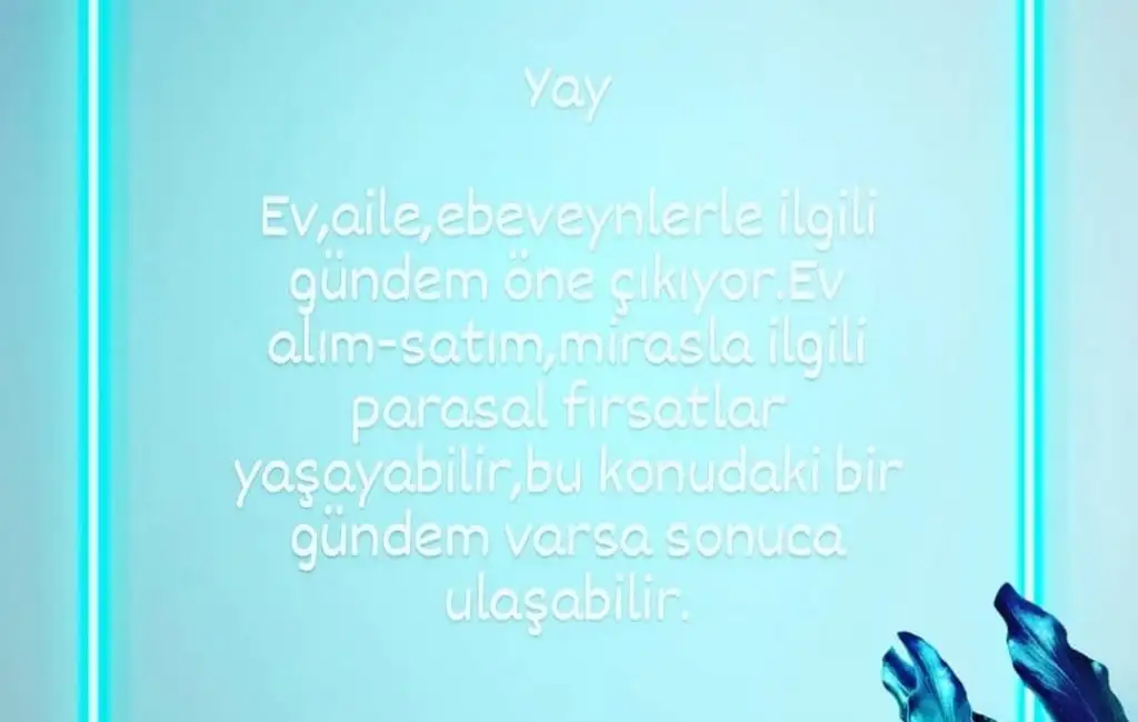 1aa (9).webp