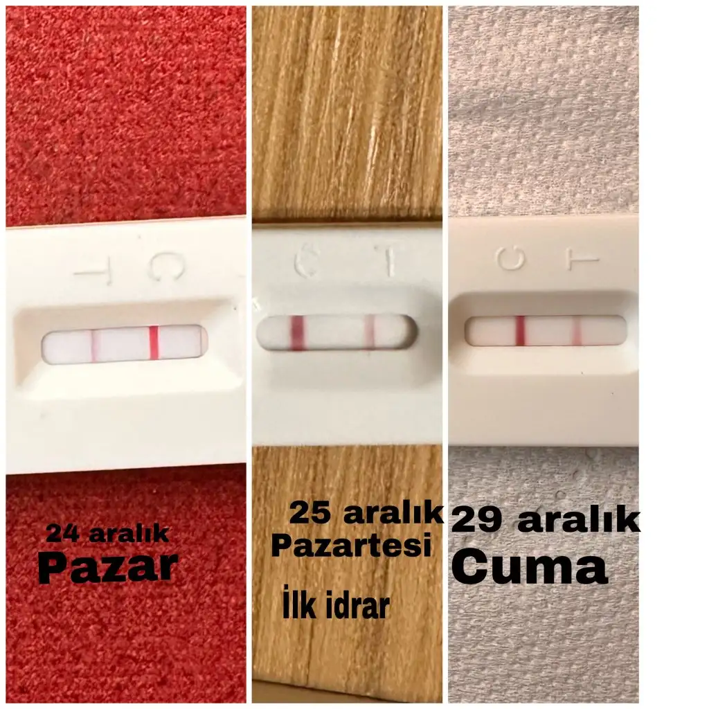 1AEDFAC7-73A6-48B1-8E7F-A07E574DCF70.webp
