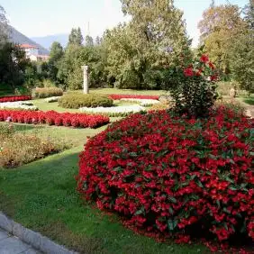 1c.webp