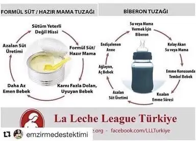 1F1CD5C6-7679-4AB8-9DB7-39829BF5D83B.webp