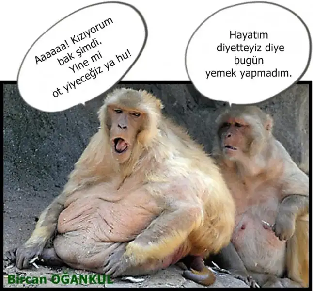 1F5B2591-35A1-48A8-9103-B49FA23749CF.webp