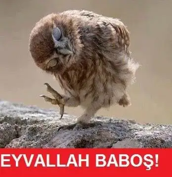 1fcb27a0cf90c7a961cb20892886b859.webp