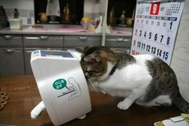 1fe796d68810f0b32242c98453203f83_k.webp