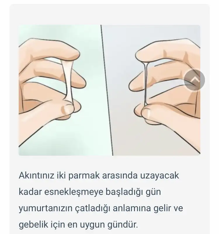 1FFB2A2D-3C5E-4995-B124-D0B2917C5F4E.jpeg